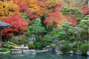 百済寺（国史跡）