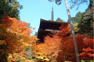 金剛輪寺