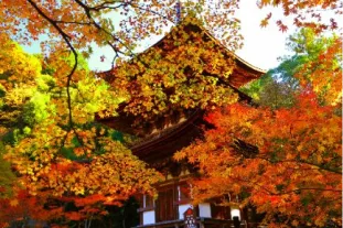 西明寺