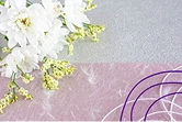 白い菊の花と水引